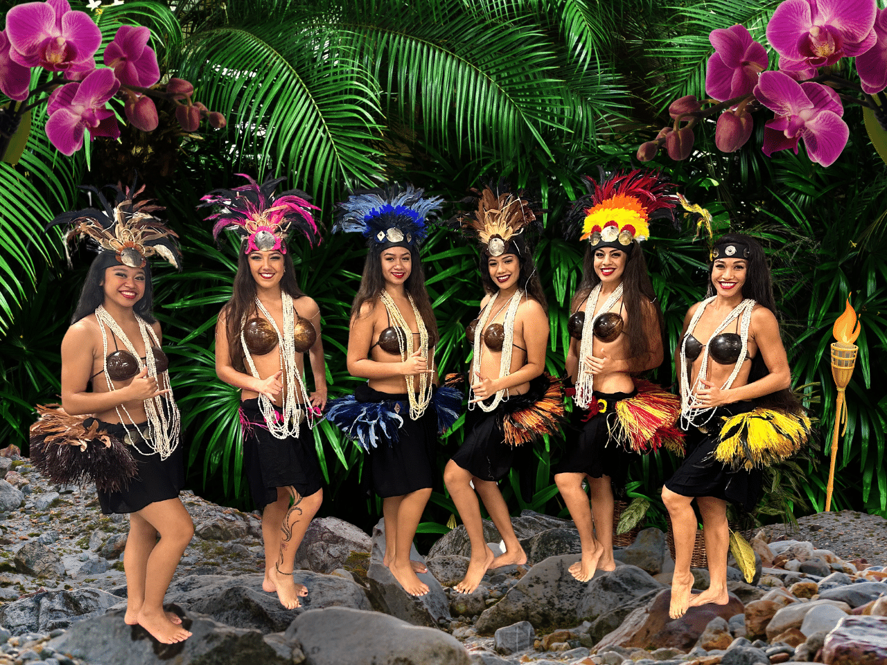 Copy of Aloha 1